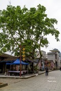 广西行——靖西旧州（12）