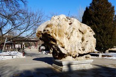 冬逛泰和园（1）