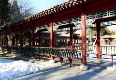 冬逛泰和园（1）