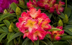 手机游拍20260421《41》