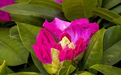 手机游拍20260421《41》