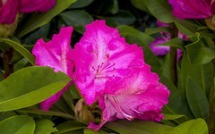 手机游拍20260421《41》