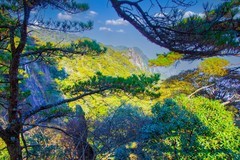 山清山风景40