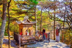 山清山风景40