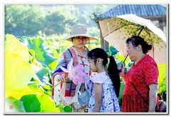 大足谢家弯十里荷塘（1）