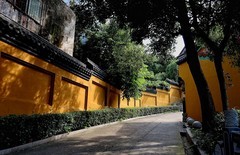 宝通寺三