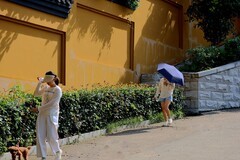 宝通寺三