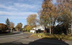 秋韵（随拍）二