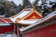 2026年第0074贴-颐和园风光游拍（0126）