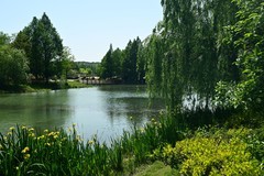 神山春色（续）