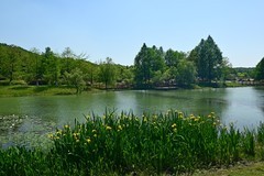 神山春色（续）