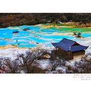 黄龙雪山--五彩池