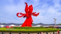 曹州牡丹园里的牡丹（1）