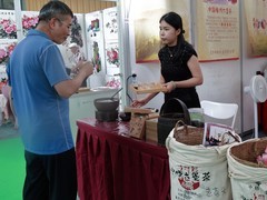 杂拍