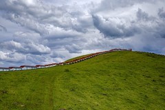 旅游记录 ：甘肃 · 甘南 · 玛曲 · 阿万仓湿地公园