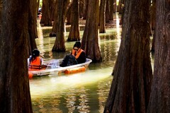 游星湖公园（三）