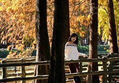 游星湖公园（三）