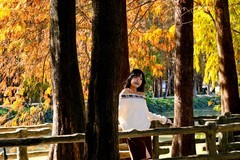 游星湖公园（三）