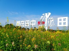 ”粮在田中 田在农中“劳动光荣