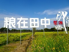 ”粮在田中 田在农中“劳动光荣