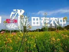 ”粮在田中 田在农中“劳动光荣