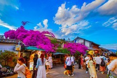 大理古城风景18