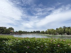 2026年- 北海公园风光旅拍-0510