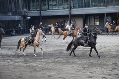 汗血宝马骑士--34---30