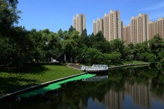 阳明公园之夏（2）