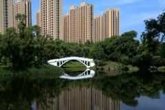 阳明公园之夏（2）