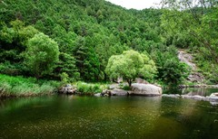 泰山彩石溪（十）
