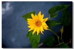 请假贴--外出一月，不便回帖，烦请大版代理！多谢众好友！！！