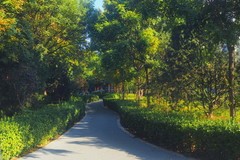 秋日·民心河畔