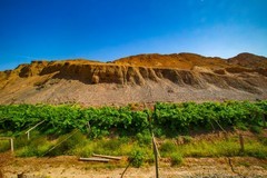 美丽的风景在路上7