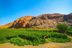 美丽的风景在路上7