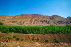 美丽的风景在路上7