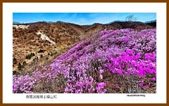 春风送暖岭上映山红、祝朋友们五一节快乐——2026我爱家乡（岫岩县兴隆镇黄岭）