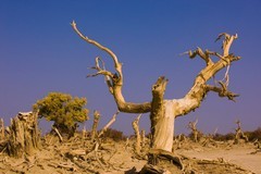 外出随拍（627）.