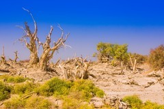 外出随拍（627）.