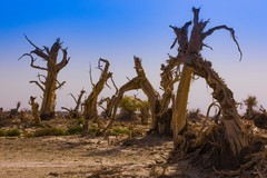 外出随拍（627）.