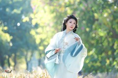 【绿野仙踪】--- 丸子