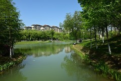 神山春色（续1）