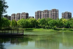 神山春色（续1）