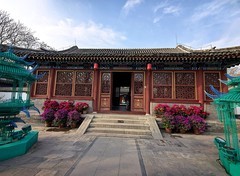春日的荣国府--销假帖