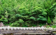 泰山彩石溪（十一）