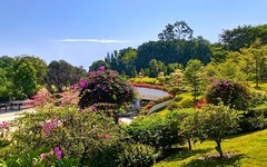 [26132] 云萝植物园（5）