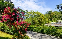 [26132] 云萝植物园（5）