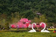 春节广西游--靖西鹅泉之三