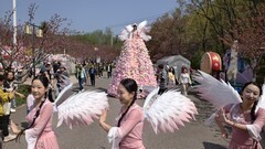 花 开 时 节 动 滨 城