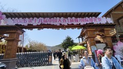 花 开 时 节 动 滨 城